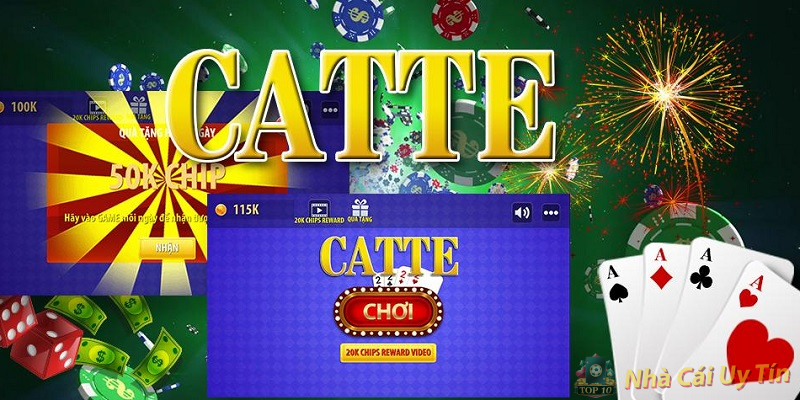 Bài Catte Là Bài Gì? Bài Catte Là Bài Gì?